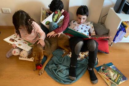 Libros, juegos y mascotas: todo lo que necesitan estos chicos para disfrutar en casa