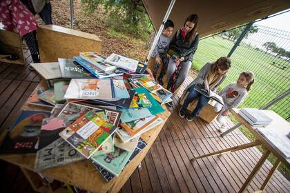 Libros y más libros: para sumergirse en la lectura