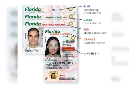 Licencias de conducir con identificación Real ID en Florida