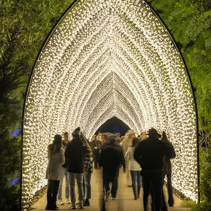 Lightscape es la salida perfecta para celebrar la temporada navideña en familia o con amigos