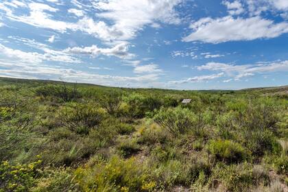Lihué Calel, en soledad: el parque pampeano permanece cerrado a las vistas