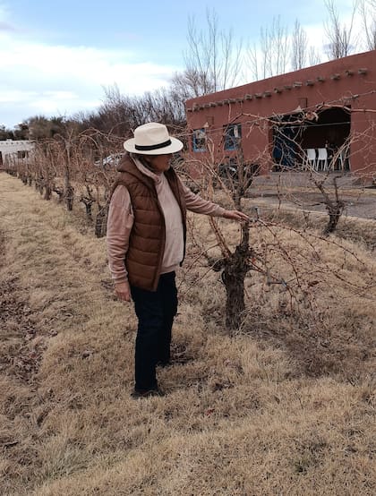 Liliana Arrieta junto a sus viñedo en la bodega Sacavino Arrieta en Los Palacios, cerca de Villa Unión