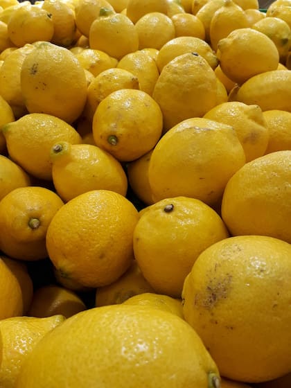 Limón temporada invernal