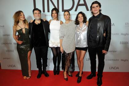 Linda, como la llama todo el mundo, despierta un magnetismo en cada uno de los miembros de la familia y maneja discretamente ese poder de seducción con cada uno por separado, pero se va enredando en la atracción y la pena que siente por ellos. Con el tiempo, descubre que detrás de esas aparentes vidas felices, hay algo más complejo