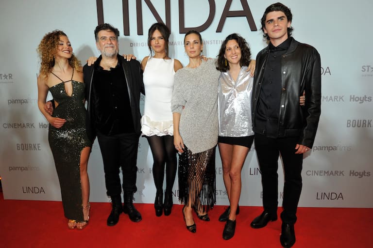 Linda, como la llama todo el mundo, despierta un magnetismo en cada uno de los miembros de la familia y maneja discretamente ese poder de seducción con cada uno por separado, pero se va enredando en la atracción y la pena que siente por ellos. Con el tiempo, descubre que detrás de esas aparentes vidas felices, hay algo más complejo