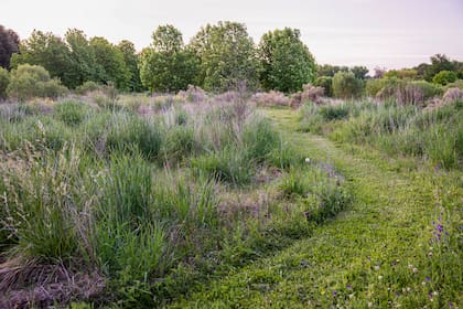 Líneas menos definidas, transiciones suaves entre y límites que se diluyen