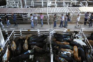 Mercado de Liniers: entre el trasfondo de la mudanza y no dejar de ser referente