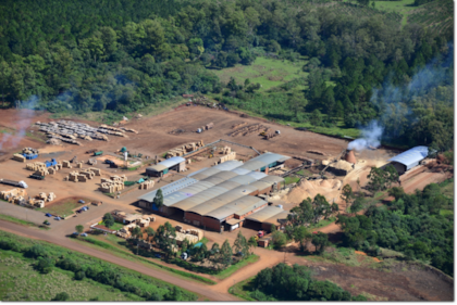 Linor y su planta en las afueras de Azara, pequeña localidad en el límite entre Misiones y Corrientes