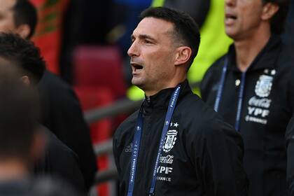 Lionel Scaloni, entrenador del seleccionado argentino