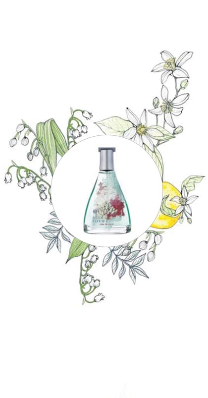 Lirio de los valles y nerolí, Mar de coral