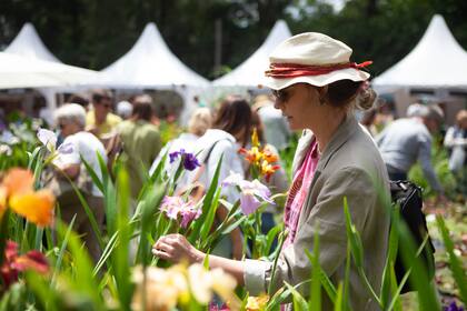 Lirios en el espacio de Vivero Acuático Naturalia.
