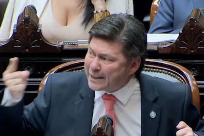 Lisandro Almirón, diputado de LLA