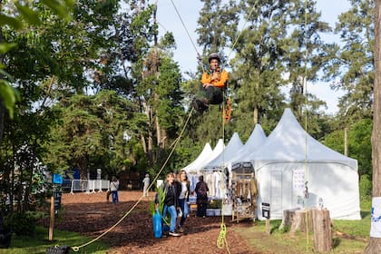 Lisandro Barrera haciendo poda en altura.