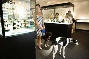 Museo dog friendly: ladra el Decorativo en una muestra para llevar mascotas