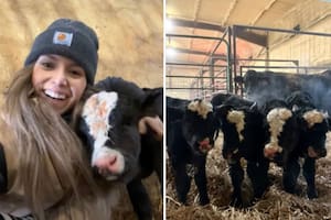 Liv Stavick, una joven granjera de Dakota del Sur, fue testigo de un momento sumamente inusual
