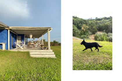 LIVING casa azul en La Pedrera Laura Saint-Agne