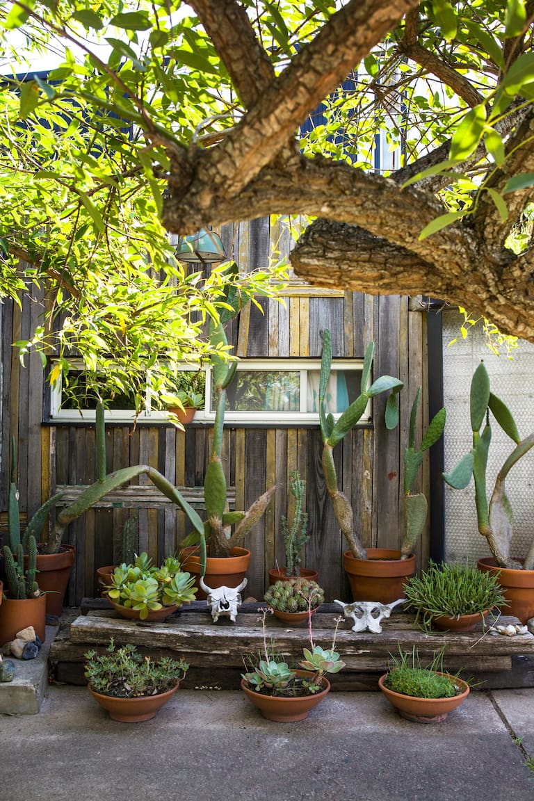 La casa de Carmela Irizar y Pablo Hernán Cortes, a la vera del río. Fotos. Santiago Ciuffo