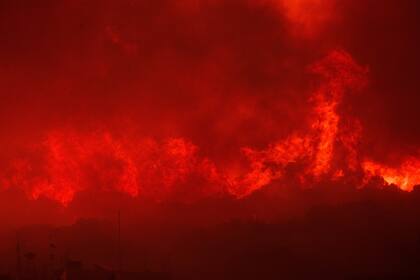 Llamas en un bosque durante un incendio forestal en el poblado de Avantas, cerca de la ciudad de Alexandrópolis, en la región de Evros (AP Foto/Achilleas Chiras)