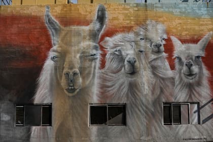 Llamas pintadas por el muralista Segatori