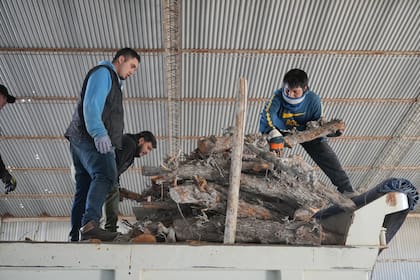 Llega ayuda de leña de otra provincias