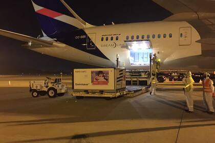 LLegada de un lote de vacunas de Sinovac a Montevideo. Los efectos de la campaa de vacunacin an no terminan de hacerse sentir