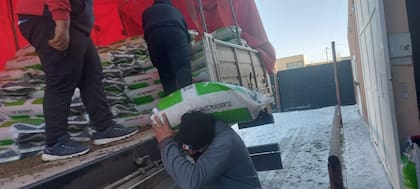 Llegan la alfalfa para los pequeños y medianos productores, Las Heras, Santa Cruz.