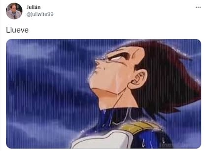 Llegó la lluvia y estallaron los memes