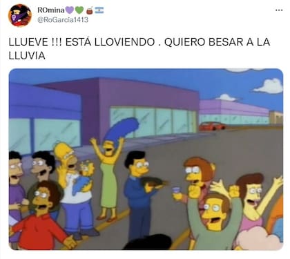 Llegó la lluvia y estallaron los memes
