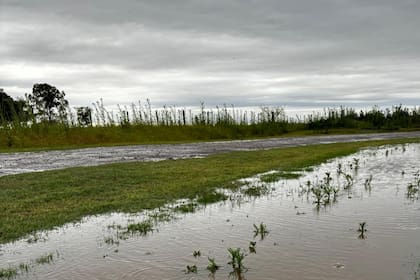 Llevaban 50 mm en Monte Buey, Córdoba
