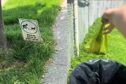 Llevar bolsas para recoger los desechos del perro es obligatorio en cada paseo