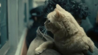 Llewyn y Ulysses, ¿el último como símbolo del primero?