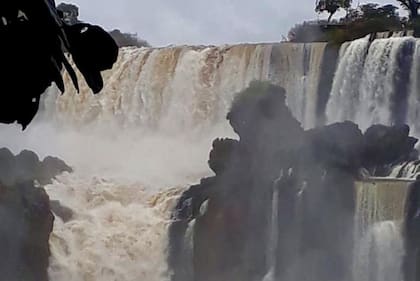 El Parque Nacional Iguazú está cerrado desde el 15 de marzo pasado