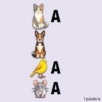 LN Juegos - Adivinanza