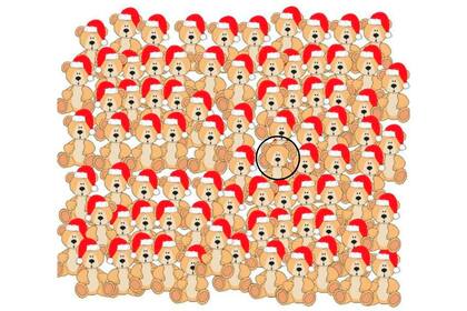 ¿Lo habías encontrado?