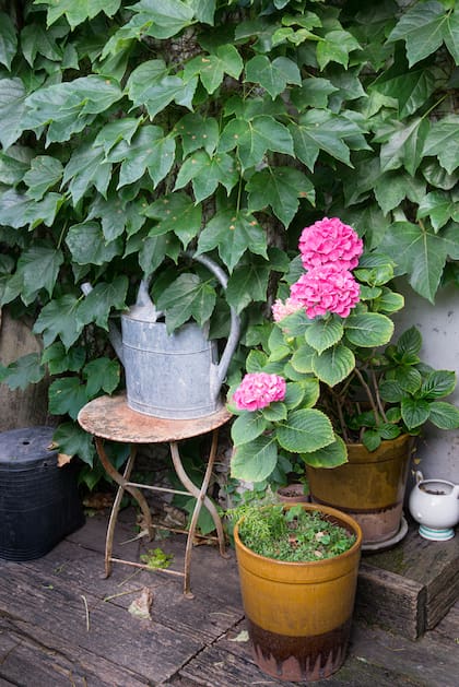 Lo heredado se adapta, cambia de lugar y sigue vivo