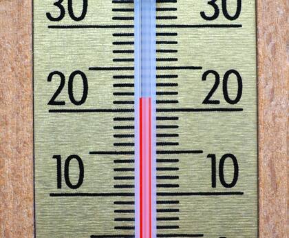Lo ideal es mantener la temperatura ambiente alrededor de los 21°C