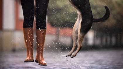 Lo importante es encontrar un sistema que coincida con lo que veas en tu área, porque puede tener mejores datos atmosféricos de tu zona