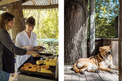 Lo más lindo que nos regaló esta casa fue a Sarni, que, como siempre vivió acá, vuelve a dormir y nos hace de perro guardián.