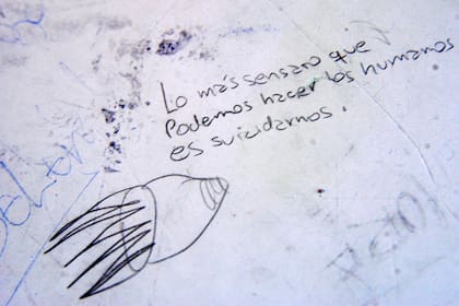 "Lo más sensato que podemos hacer los humanos es suicidarnos", frase escrita en el banco escolar de Juniors.