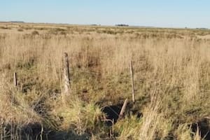 ¿Cuánto cuesta alambrar un terreno en Buenos Aires?