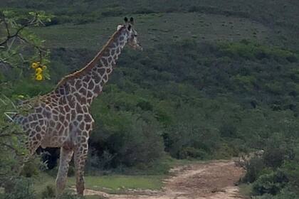 Lo que debía ser un viaje de placer se transformó en un suplicio por cómo se complicó la vuelta a casa