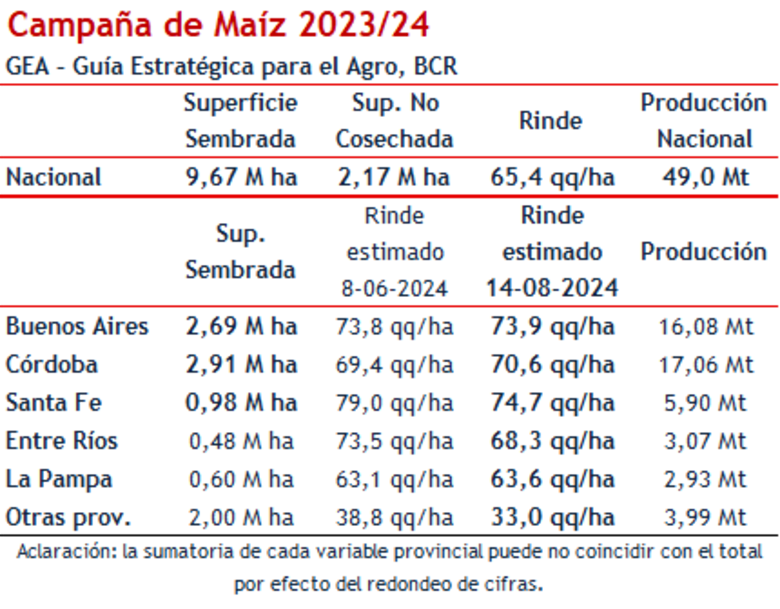 Incertidumbre en la siembra de maíz: reducción del área y factores de riesgo