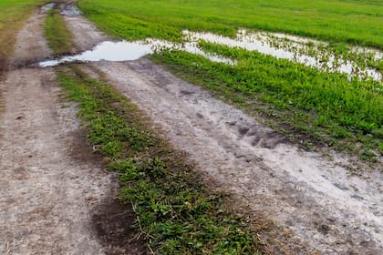 Lo que el fallo adquiere el calificativo de histórico es que el cobro de la tasa por hectárea deberá justificarse con servicios prestados