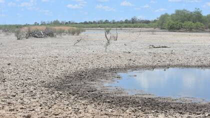 Lo que era un río, aquí quedó reducido a unos pocos charcos de agua.