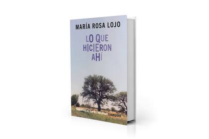 "Lo que hicieron ahí", cuentos de María Rosa Lojo, con escenarios y personajes que comparten una misma tragedia