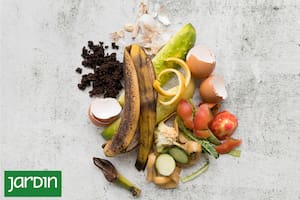 Cómo nutrir tus plantas con restos domésticos