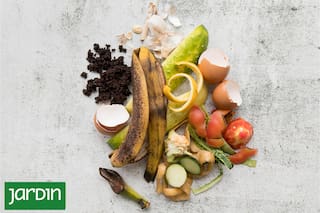 Cómo nutrir tus plantas con restos domésticos