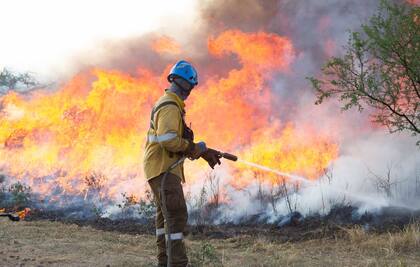 Lo que queda después del fuego