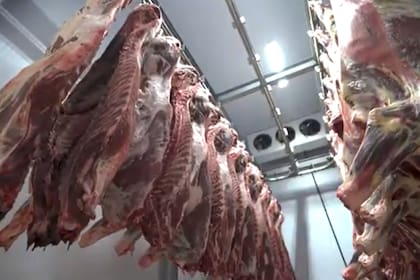 “Lo que se negoció en la cuota de Estados Unidos son posiciones arancelarias por las cuales ingresó más del 85% de nuestras exportaciones hasta el momento”, remarcaron