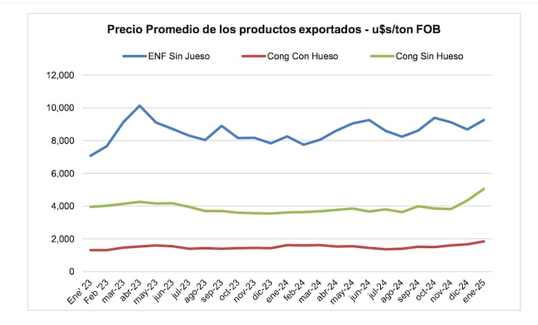 Informe